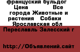 француский бульдог › Цена ­ 40 000 - Все города Животные и растения » Собаки   . Ярославская обл.,Переславль-Залесский г.